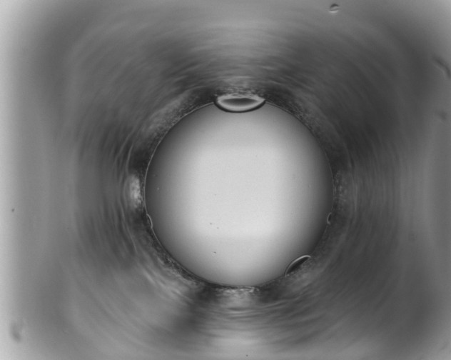 X0000101230089200807071422