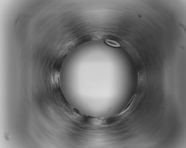 X0000101230094200807071422