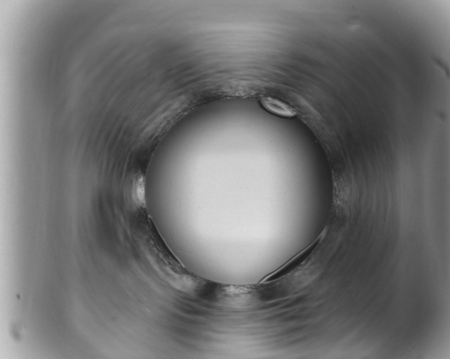 X0000101230095200807071422