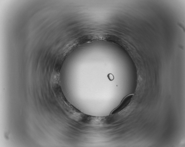 X0000101230096200807071422