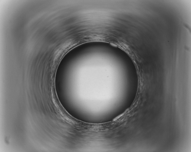 X0000101230097200807071421