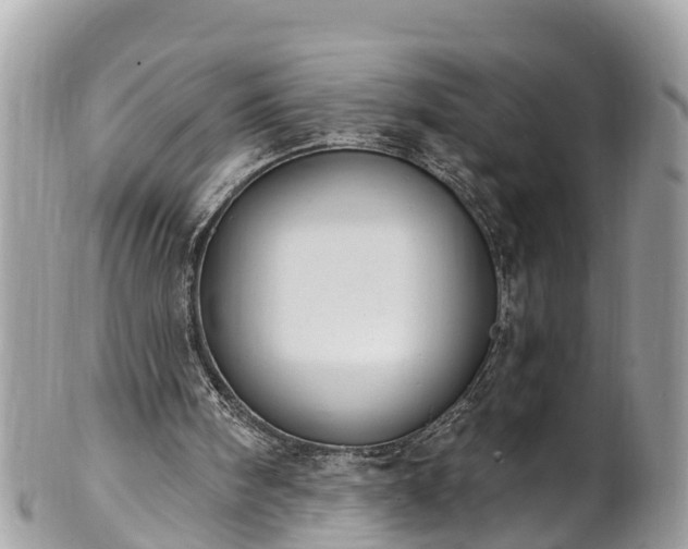 X0000101230098200807071421