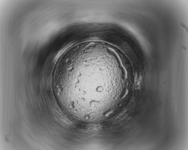 X0000101230099200807071421