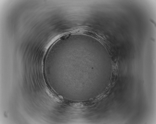 X0000101230100200807071421