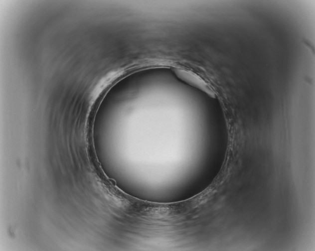 X0000101230104200807071421