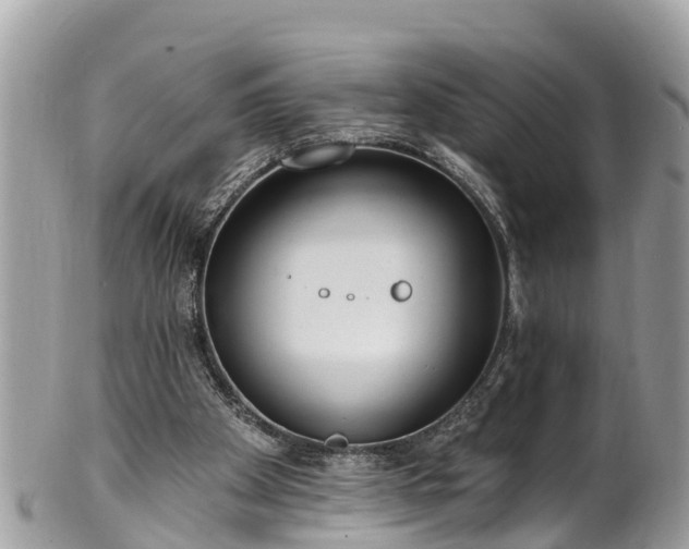 X0000101230105200807071421