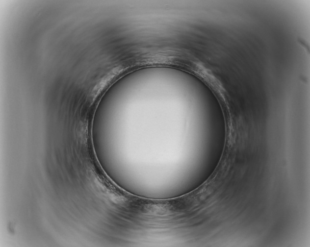 X0000101230107200807071421