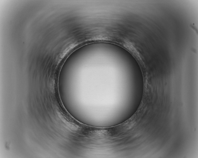 X0000101230108200807071421