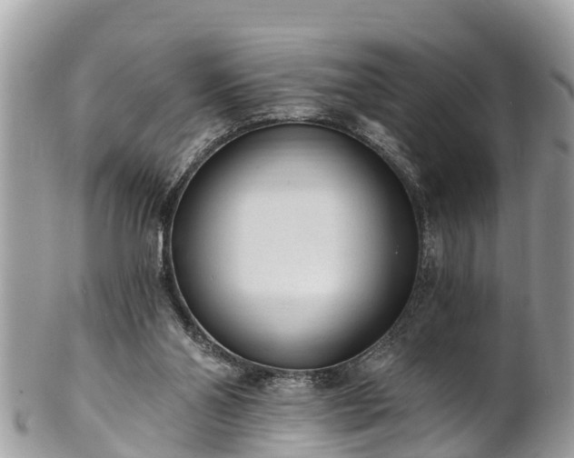 X0000101230110200807071421