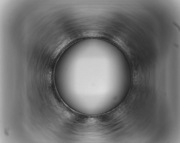 X0000101230111200807071421