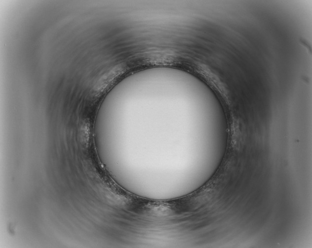 X0000101230113200807071421