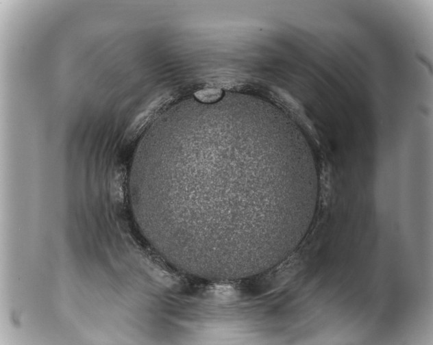 X0000101230114200807071421