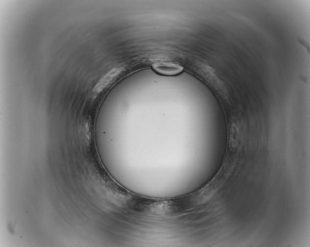 X0000101230116200807071421