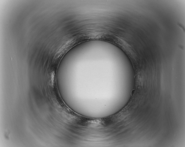 X0000101230118200807071421