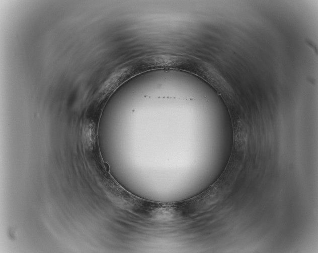 X0000101230119200807071421