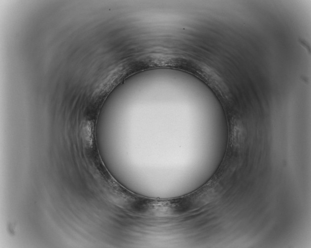 X0000101230121200807071421