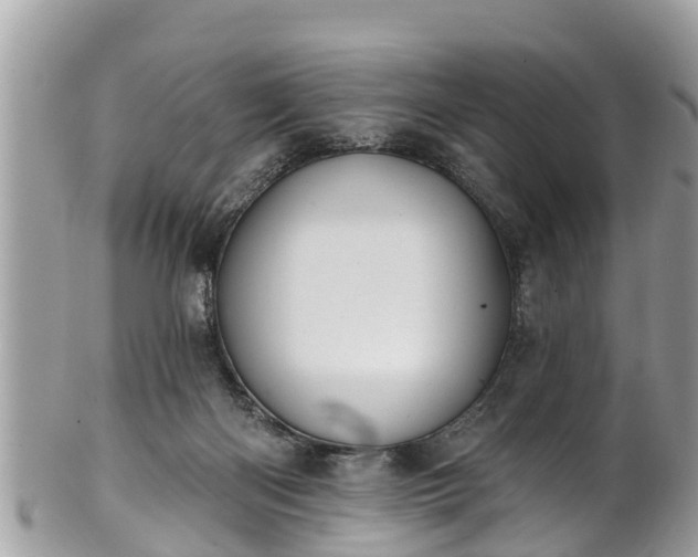 X0000101230122200807071421