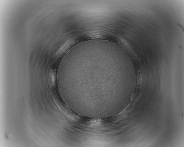 X0000101230124200807071421