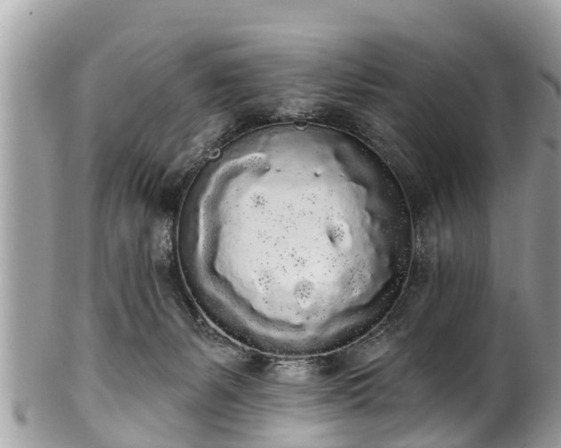 X0000101230127200807071421