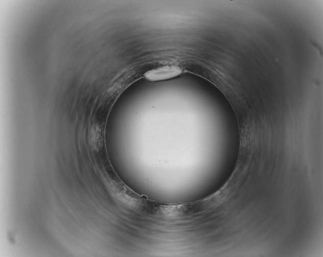 X0000101230136200807071421