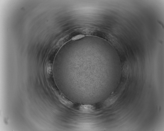 X0000101230137200807071421