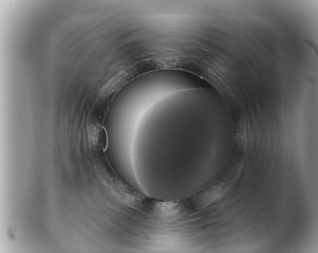 X0000101230139200807071421