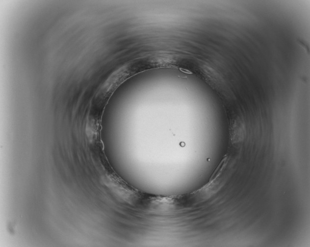 X0000101230140200807071421