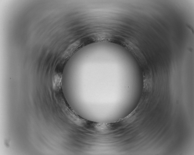 X0000101230142200807071421