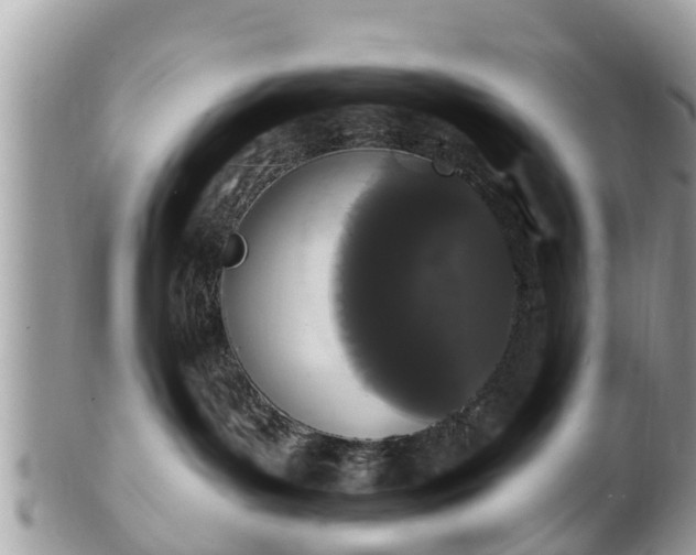 X0000101230143200807071421