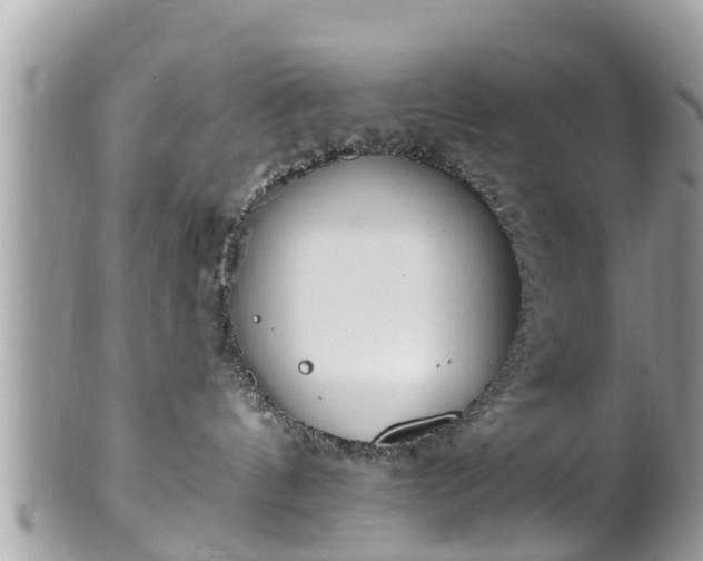 X0000101230144200807071421