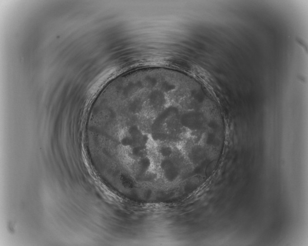 X0000101230145200807071420