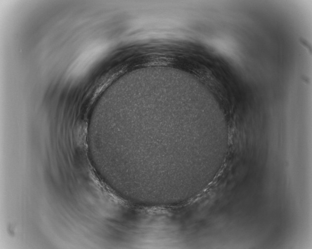 X0000101230146200807071420