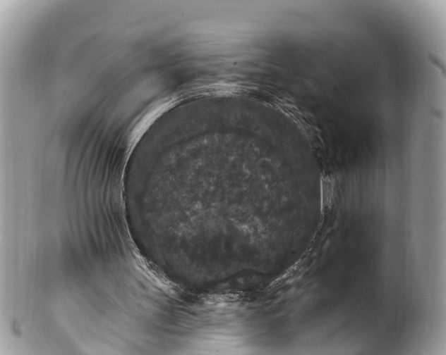 X0000101230147200807071420