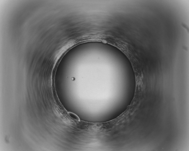 X0000101230148200807071420