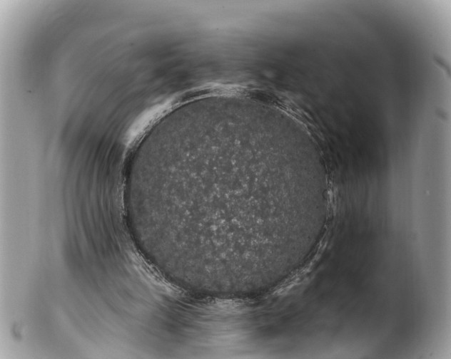 X0000101230149200807071420