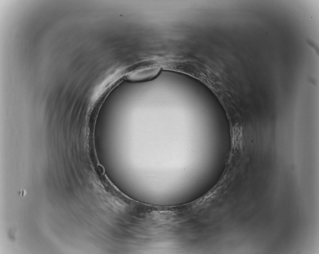 X0000101230150200807071420