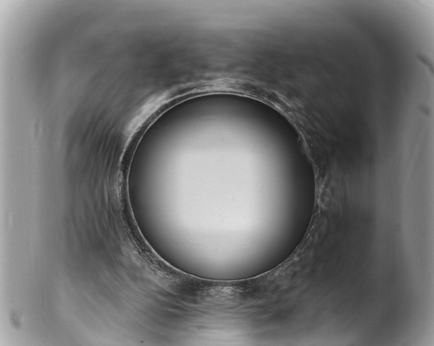 X0000101230152200807071420