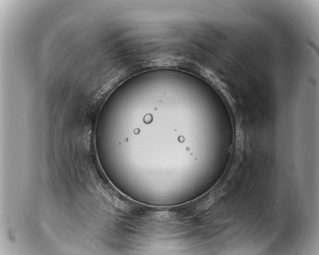 X0000101230153200807071420