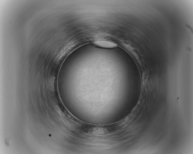 X0000101230154200807071420