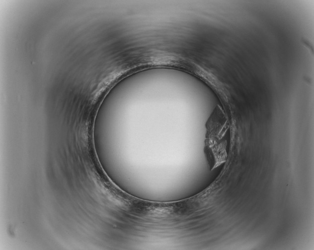 X0000101230155200807071420