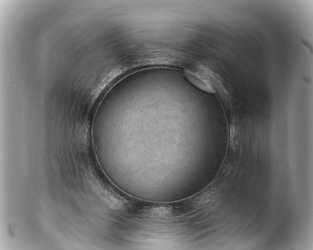 X0000101230156200807071420