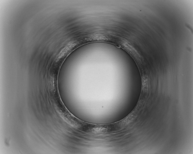 X0000101230158200807071420