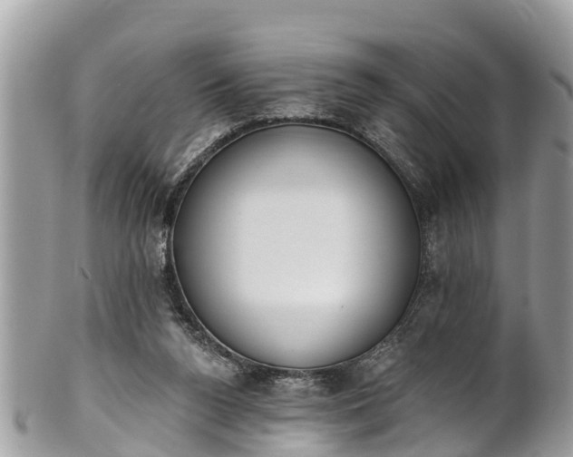 X0000101230160200807071420