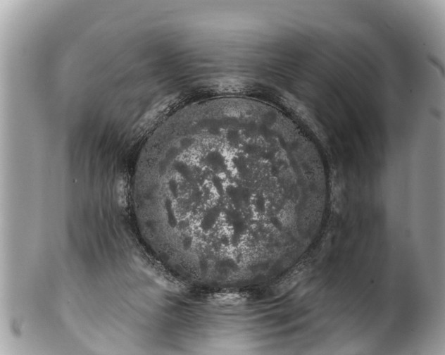 X0000101230161200807071420