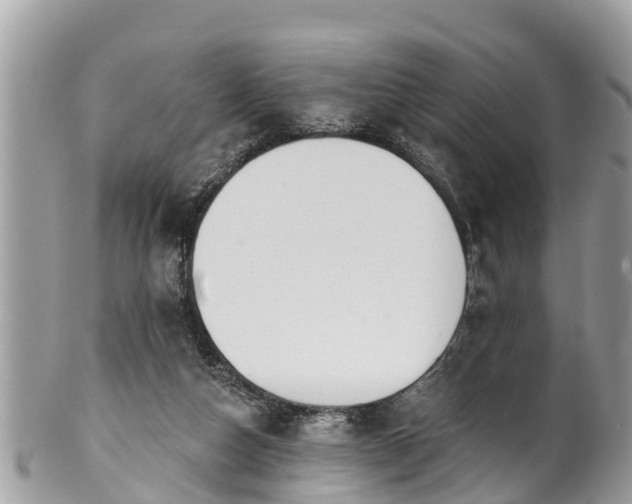 X0000101230162200807071420