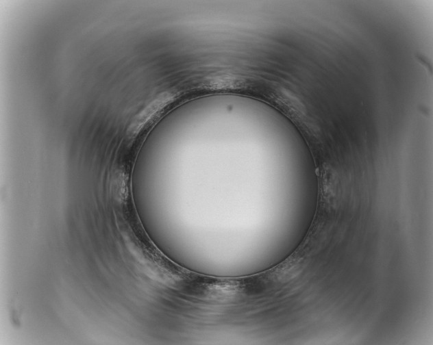 X0000101230164200807071420