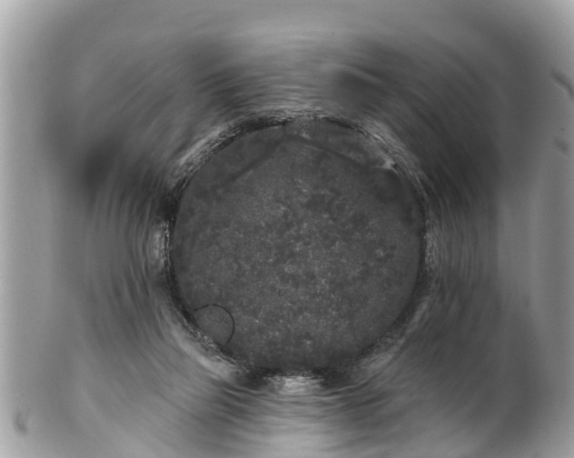 X0000101230165200807071420