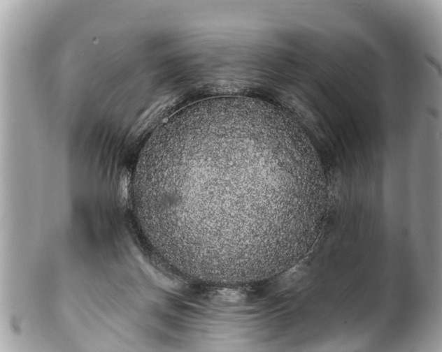 X0000101230166200807071420