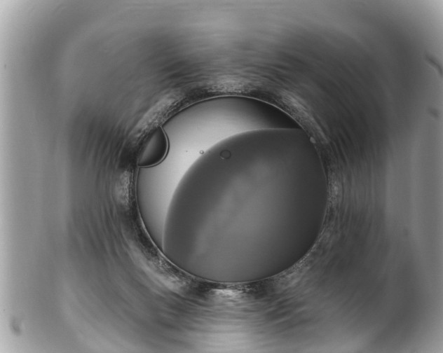 X0000101230167200807071420