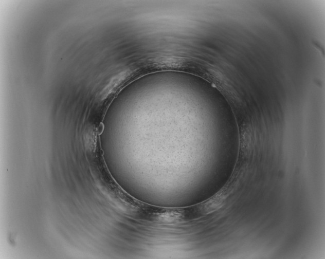 X0000101230168200807071420